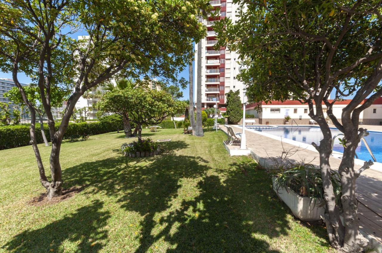 Ag Aquarium Apartment Playa de Gandia Exterior photo